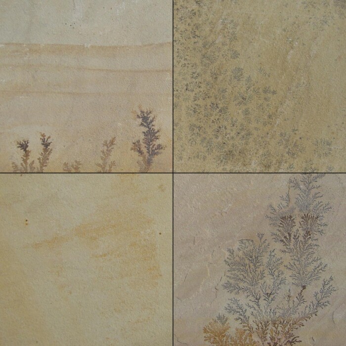 Fossil Mint